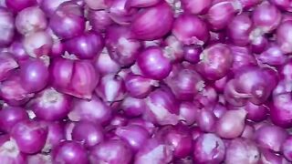 Bawang merah 2