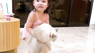 Cat Meets a Mirror for the First Time! 20