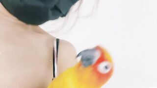 Cat Meets a Baby Chick! 🐥 22