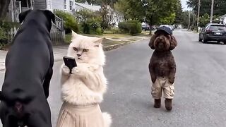 Cat Refusing to Give Up the Remote! 20