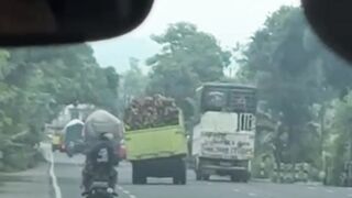 Demi Konten, Sopir Truk Gen Z di Lumajang Diamankan Polisi Usai Aksi Oleng Viral
