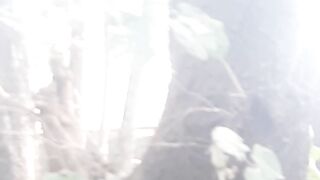Tree rare in world