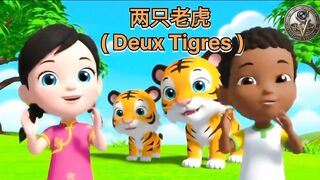 🐅 两只老虎 ( 2 TIGRES)
