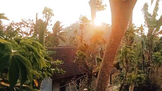 Golden Sunset Breeze