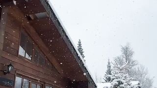A Magical Winter Moment ❄️🦌 A Reindeer Appears Outside a Cozy Snowy Cabin!