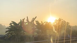 Sunrise from the train👀