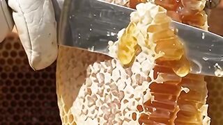 Fresh Honey 🙏❤️❤️