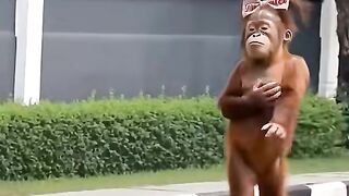 Funny video
