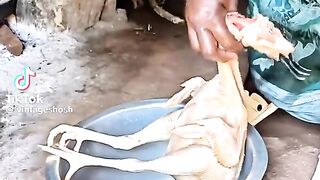 African life