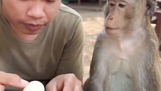 Comedy video 2 2