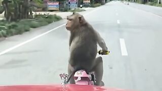 Comedy video 3 2