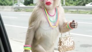 Comedy video 6 2