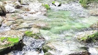 Beautiful nature [1]