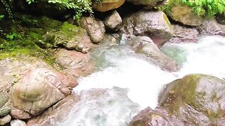 Beautiful nature [3]
