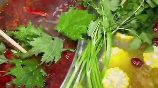 Living in the Mountains, Eating for Free All Day! Foraging Wild Greens in the Mossy Forest—Turning It into a Fancy Hotpot Feast