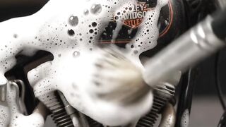 Harley Davidson 5