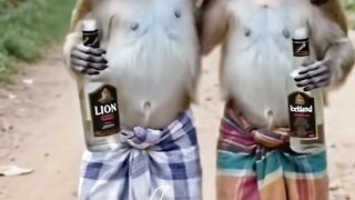 Comedy video 2 3
