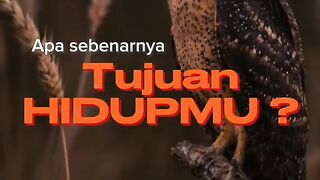 Buurng