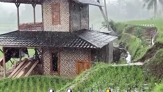 Discover the Beautiful Countryside of Indonesia 🇮🇩🌿 | Peaceful Village Life & Stunning Nature