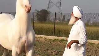 Guri Sandhu