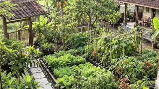 A Hidden Tropical Paradise 🌿 | Peaceful Village Garden Life