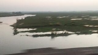 বিলের ঘাটে সৌন্দর্য