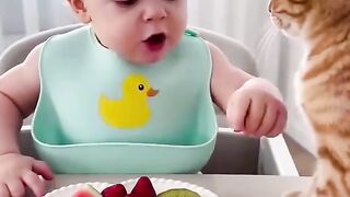 funny video 767