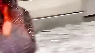 Bird behavio