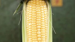 Corn vs Hydraulic press