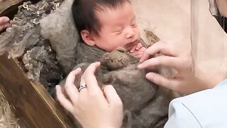 Adorable Newborn Photoshoot