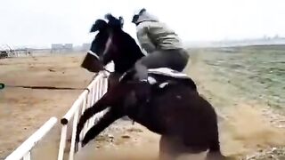 كن فارسل