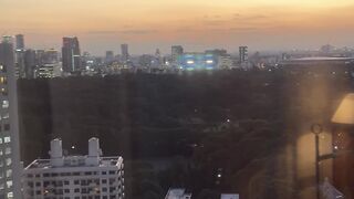 Citi view of Tokyo