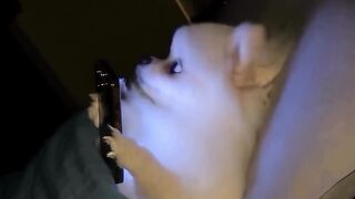 When Your Cat Gets Caught Using Her Phone at Night 😂📱🐱”
