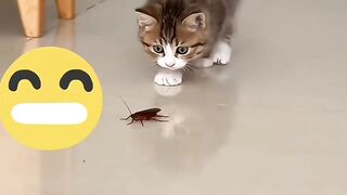 mpus kaget