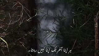 Short video is best