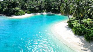 Beautiful View 62