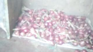 Crops 4