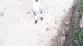 Kwale kenya 2
