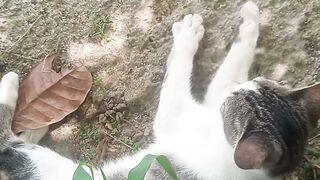 So de boa com minha gata