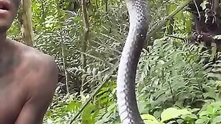 Man Vs Snake