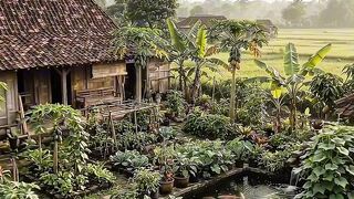 This Dream Garden Looks Like Paradise 🌿🍅 | Peaceful Country Living