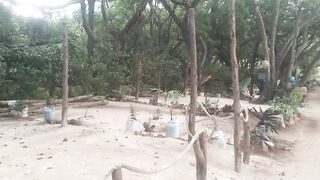Malidi kenyaama