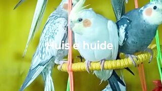 Huis e huide ♥️ 88