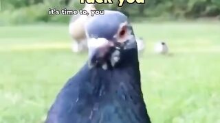 Funny