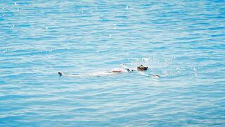 Beautiful Pregnant Woman Floating in Peaceful Blue Sea Under Sunlight