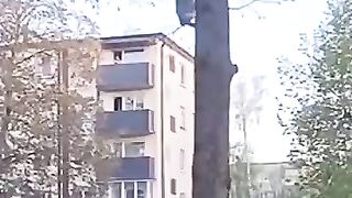 They thought this cat 🐈😺 was trapped