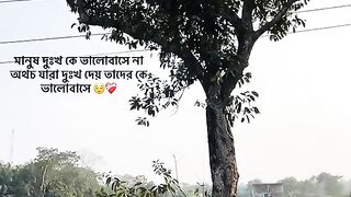 কি খবর