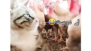 New Funny video upload latest fun 2023