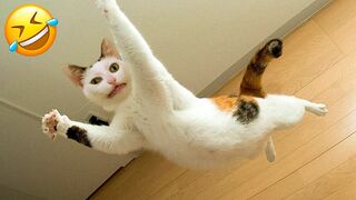 New Funniest- Animals cute???? Cat And Dog???????? Videos 2023