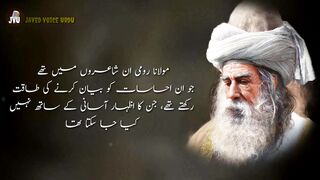 Rumi deep quotes|maulana Rumi quotes|quotes